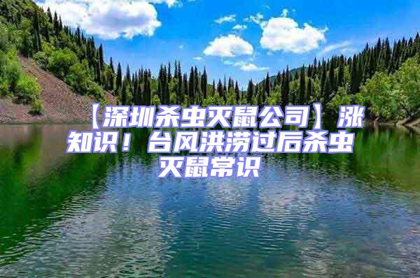 【深圳殺蟲滅鼠公司】漲知識!臺風洪澇過后殺蟲滅鼠常識