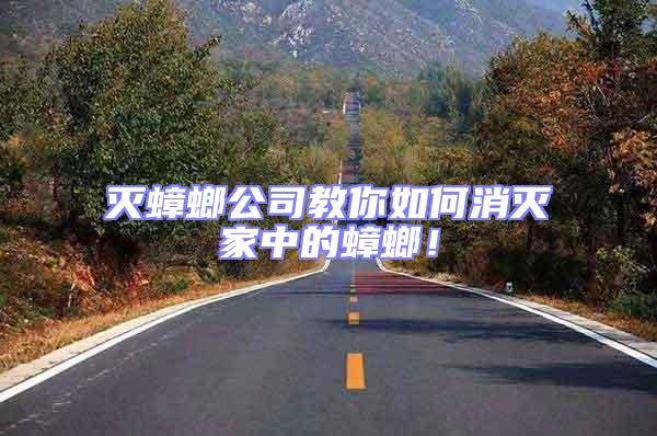滅蟑螂公司教你如何消滅家中的蟑螂！