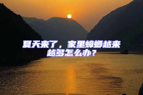 夏天來(lái)了,家里蟑螂越來(lái)越多怎么辦?