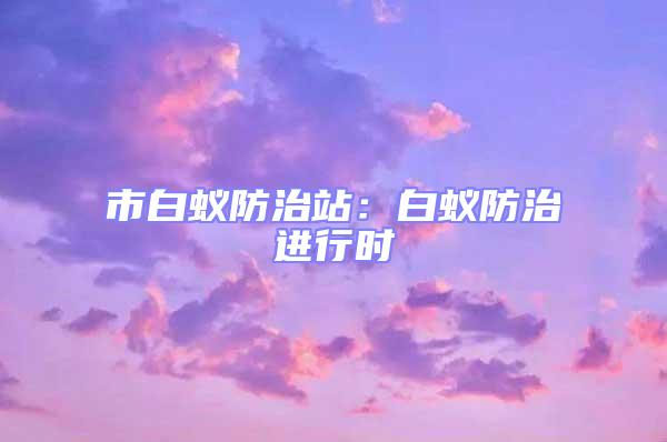 市白蟻防治站:白蟻防治進行時