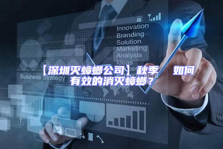 【深圳滅蟑螂公司】秋季  如何有效的消滅蟑螂?