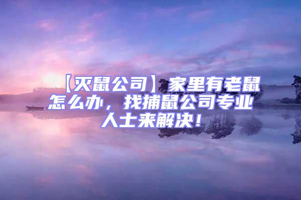 【滅鼠公司】家里有老鼠怎么辦,找捕鼠公司專業(yè)人士來解決!