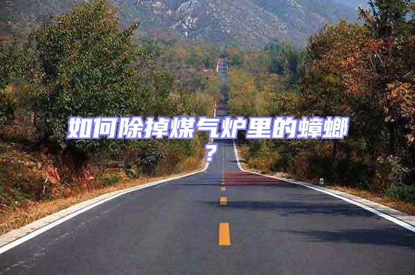如何除掉煤氣爐里的蟑螂?