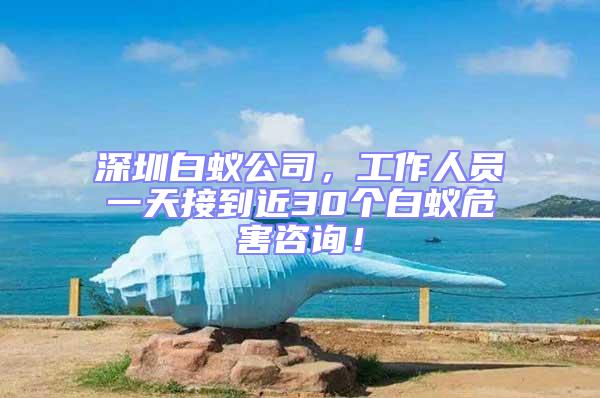 深圳白蟻公司,工作人員一天接到近30個白蟻危害咨詢!