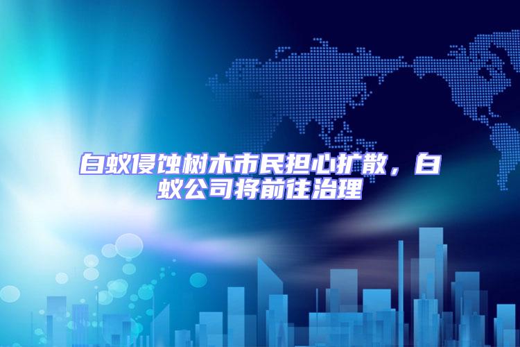 白蟻侵蝕樹木市民擔心擴散，白蟻公司將前往治理