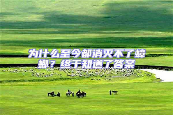 為什么至今都消滅不了蟑螂?終于知道了答案