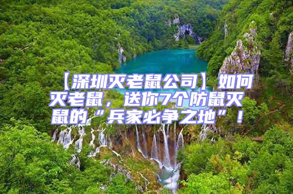 【深圳滅老鼠公司】如何滅老鼠，送你7個防鼠滅鼠的“兵家必爭之地”！