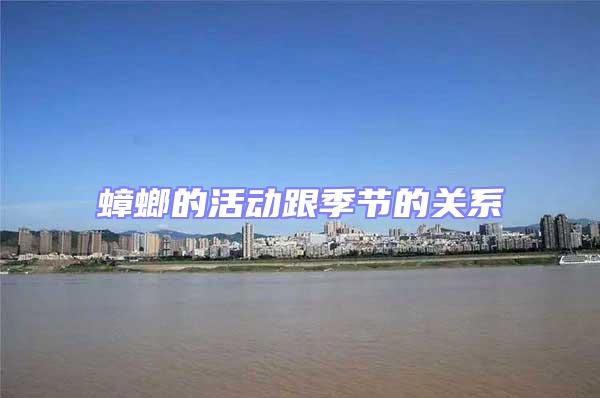 蟑螂的活動跟季節的關系