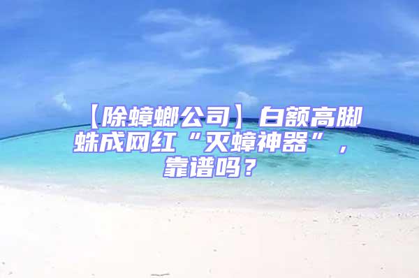 【除蟑螂公司】白額高腳蛛成網紅“滅蟑神器”，靠譜嗎？