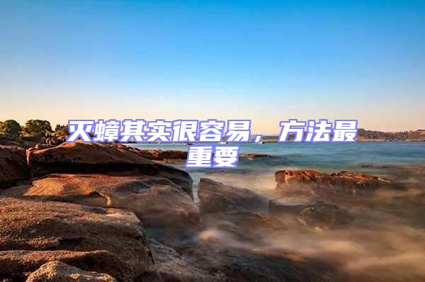 滅蟑其實很容易,方法最重要