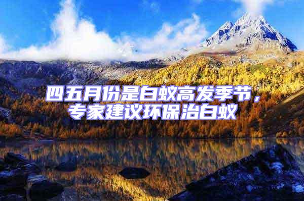 四五月份是白蟻高發(fā)季節(jié),專家建議環(huán)保治白蟻