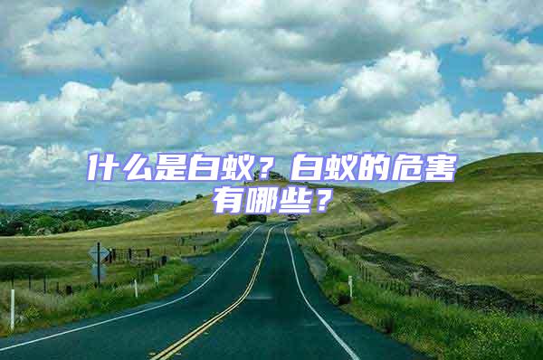 什么是白蟻？白蟻的危害有哪些？