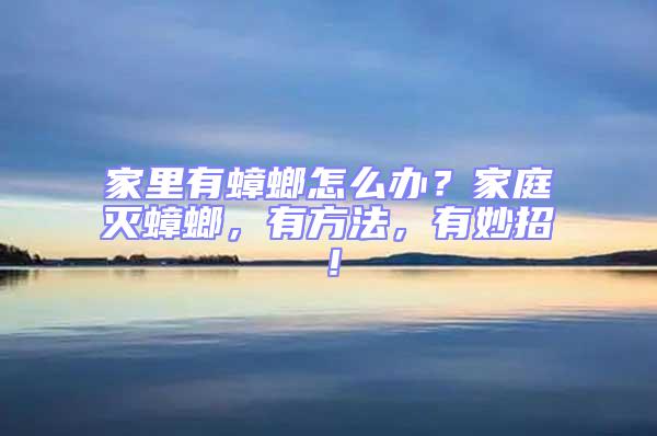 家里有蟑螂怎么辦?家庭滅蟑螂,有方法,有妙招!
