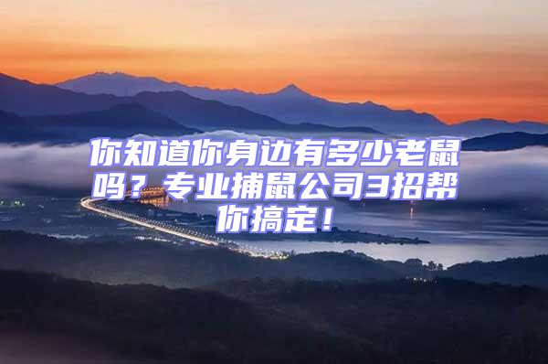 你知道你身邊有多少老鼠嗎？專業(yè)捕鼠公司3招幫你搞定！