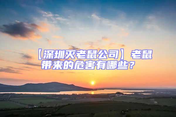 【深圳滅老鼠公司】老鼠帶來的危害有哪些？