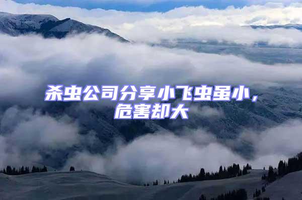 殺蟲公司分享小飛蟲雖小,危害卻大