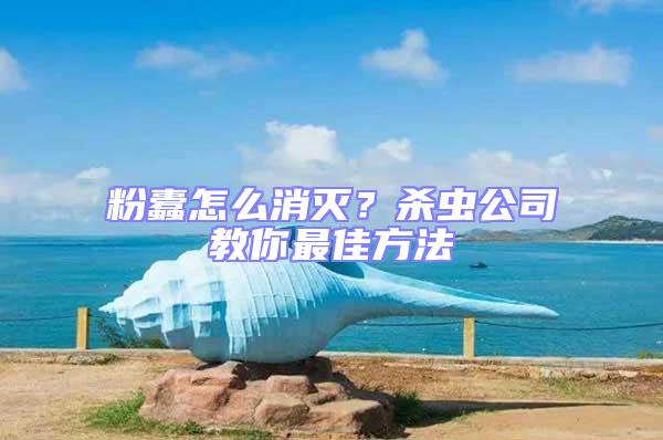 粉蠹怎么消滅?殺蟲公司教你最佳方法