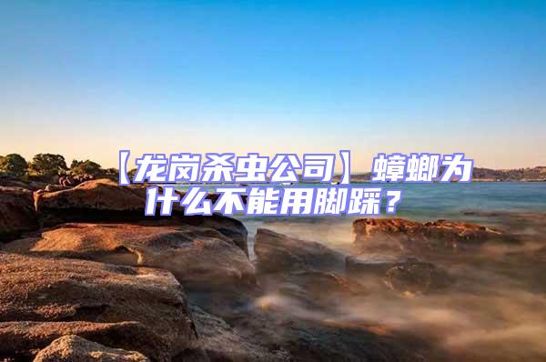【龍崗殺蟲公司】蟑螂為什么不能用腳踩?