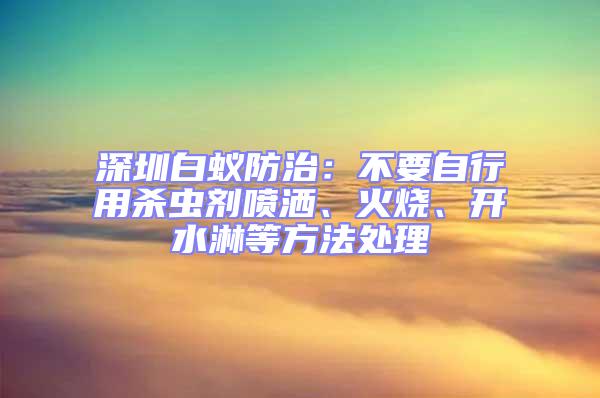 深圳白蟻防治:不要自行用殺蟲劑噴灑、火燒、開水淋等方法處理