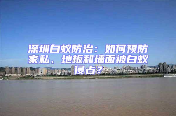 深圳白蟻防治：如何預防家私、地板和墻面被白蟻侵占？