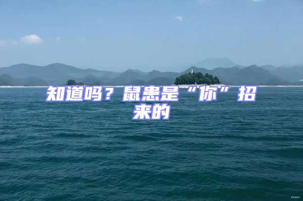 知道嗎?鼠患是“你”招來的