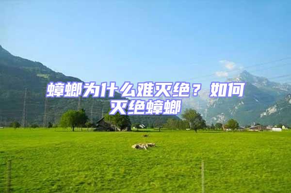 蟑螂為什么難滅絕?如何滅絕蟑螂