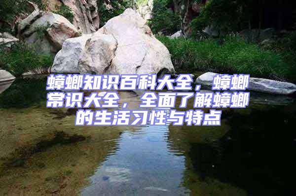 蟑螂知識百科大全,蟑螂常識大全,全面了解蟑螂的生活習性與特點