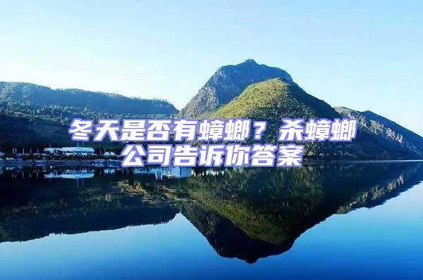 冬天是否有蟑螂?殺蟑螂公司告訴你答案