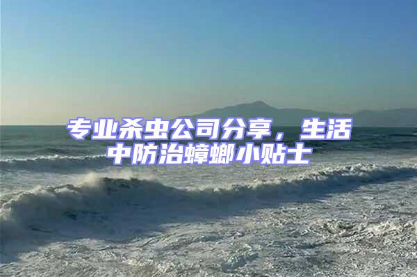 專業殺蟲公司分享，生活中防治蟑螂小貼士