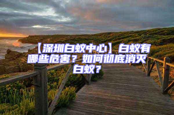 【深圳白蟻中心】白蟻有哪些危害？如何徹底消滅白蟻？