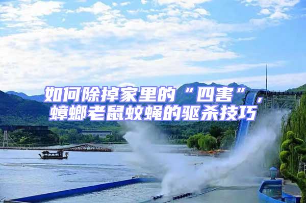 如何除掉家里的“四害”,蟑螂老鼠蚊蠅的驅(qū)殺技巧