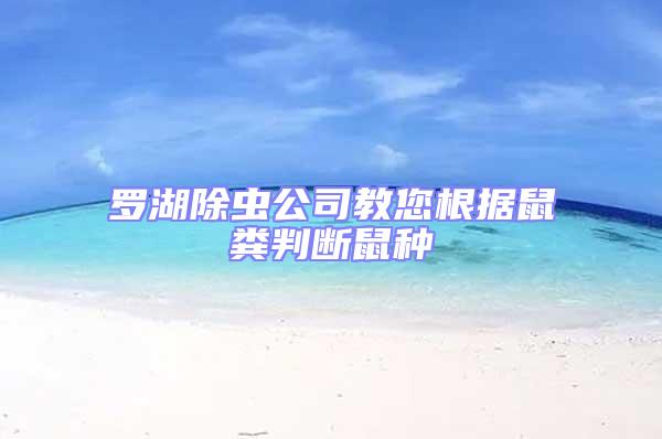 羅湖除蟲(chóng)公司教您根據(jù)鼠糞判斷鼠種