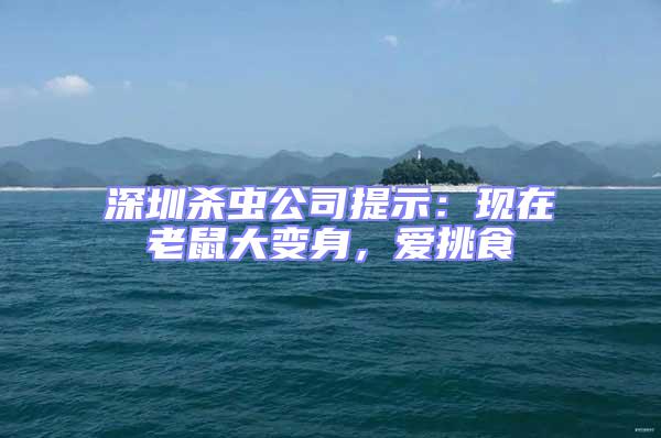 深圳殺蟲公司提示:現(xiàn)在老鼠大變身,愛挑食