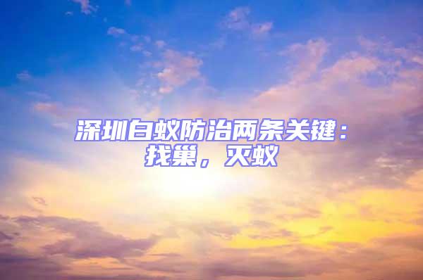 深圳白蟻防治兩條關(guān)鍵:找巢,滅蟻