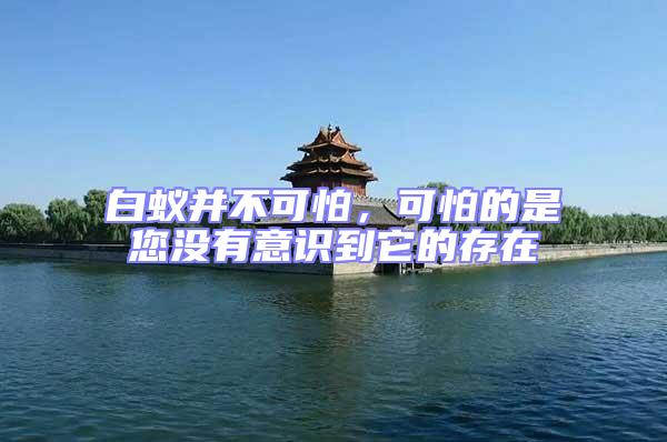 白蟻并不可怕,可怕的是您沒有意識到它的存在