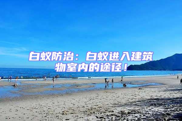 白蟻防治:白蟻進入建筑物室內的途徑!