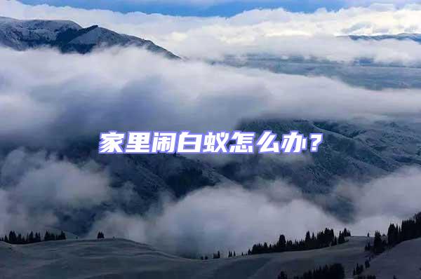 家里鬧白蟻怎么辦？
