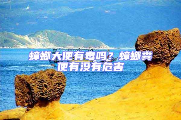 蟑螂大便有毒嗎?蟑螂糞便有沒有危害