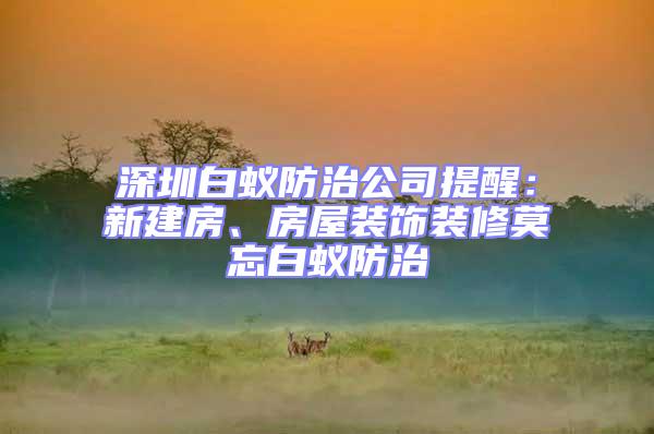 深圳白蟻防治公司提醒:新建房、房屋裝飾裝修莫忘白蟻防治