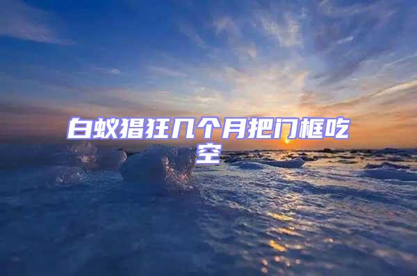 白蟻猖狂幾個(gè)月把門框吃空