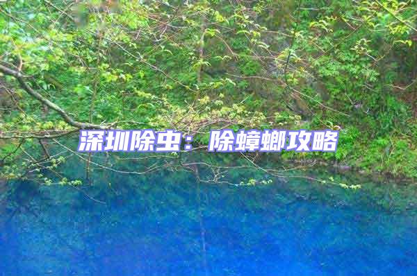深圳除蟲:除蟑螂攻略