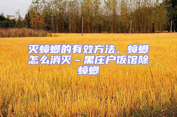 滅蟑螂的有效方法，蟑螂怎么消滅–黑莊戶飯館除蟑螂