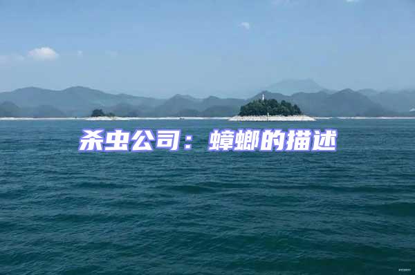 殺蟲公司:蟑螂的描述