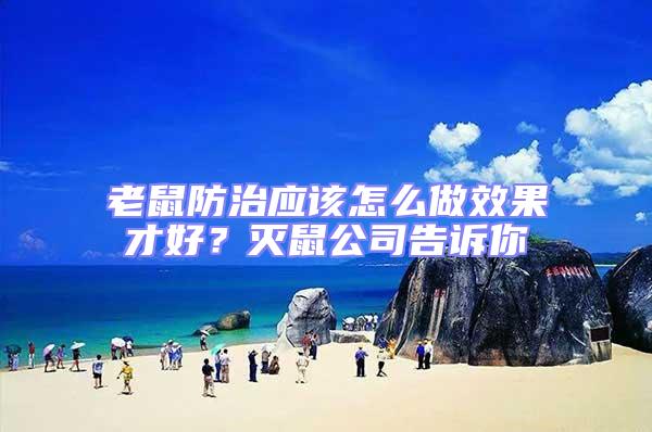 老鼠防治應(yīng)該怎么做效果才好?滅鼠公司告訴你
