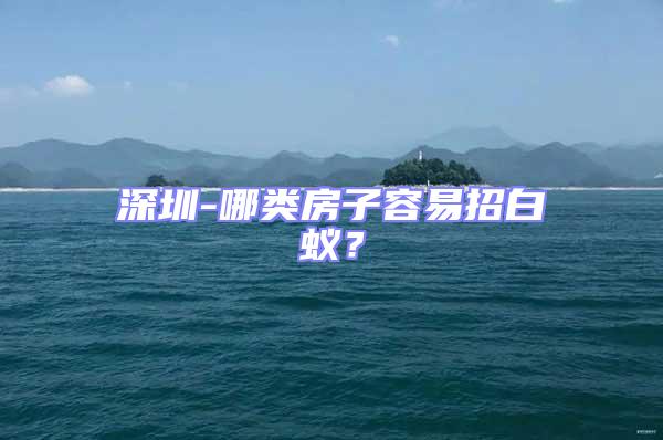 深圳-哪類房子容易招白蟻?