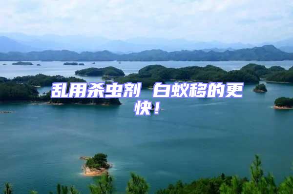 亂用殺蟲劑 白蟻移的更快!