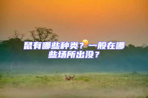 鼠有哪些種類？一般在哪些場所出沒？