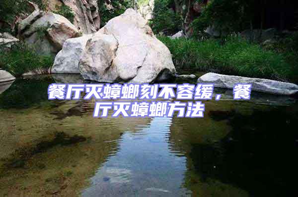 餐廳滅蟑螂刻不容緩,餐廳滅蟑螂方法