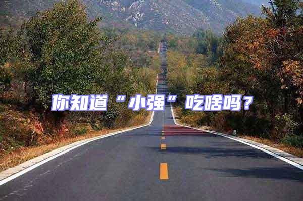 你知道“小強”吃啥嗎？
