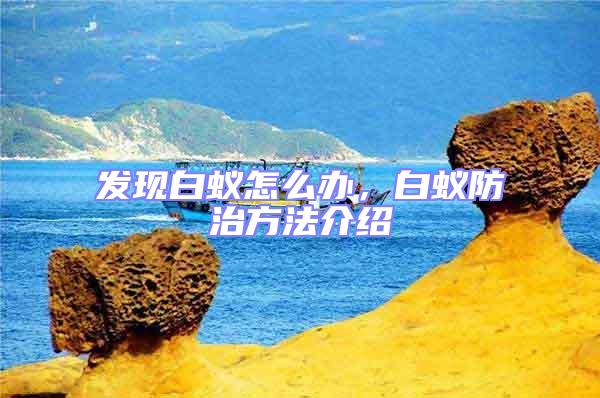 發(fā)現(xiàn)白蟻怎么辦,白蟻防治方法介紹